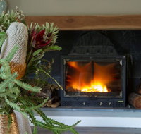 KOALA GULLY - Sunshine Coast Tourism