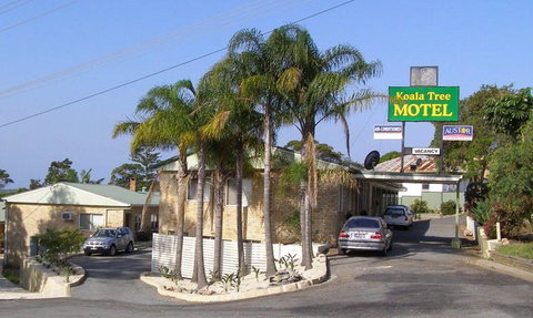 Koala Tree Motel - Sunshine Coast Tourism 1