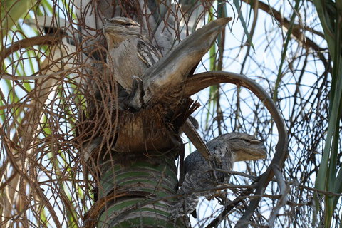 Kununurra Lakeside Resort - Sunshine Coast Tourism 2