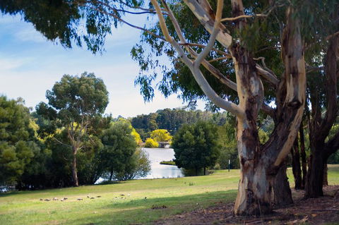 Lake Daylesford Lodge 4 - Sunshine Coast Tourism 1