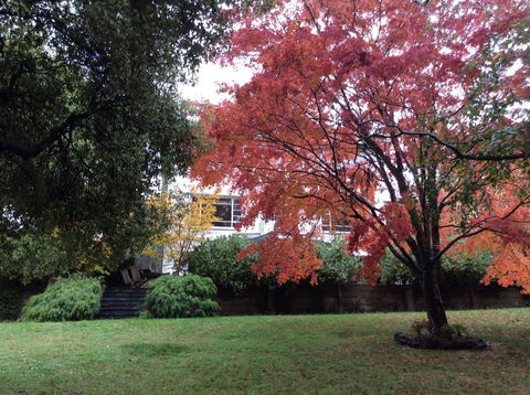 Lakeshore House, Daylesford - Sunshine Coast Tourism 2