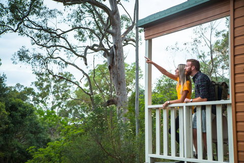 Lane Cove Holiday Park - Holiday Sunshine Coast 1