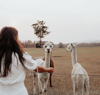 Laurina Estate - Sunshine Coast Tourism