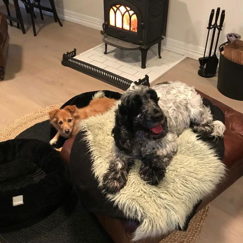 Leddicott Cottage - Holiday Sunshine Coast 3