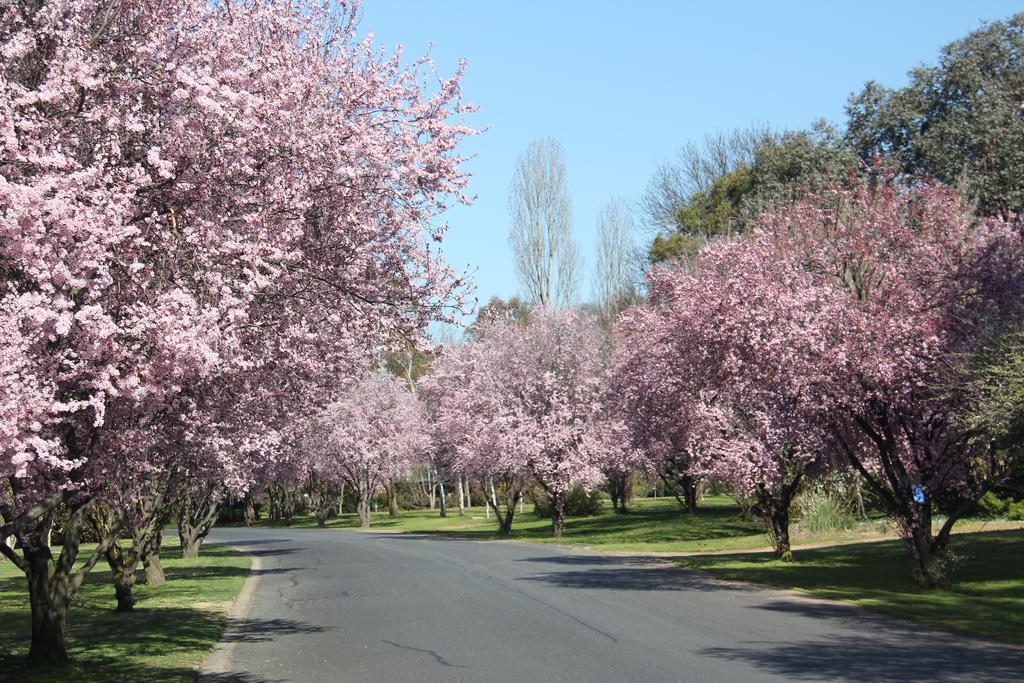 Kelso NSW Holiday Sunshine Coast