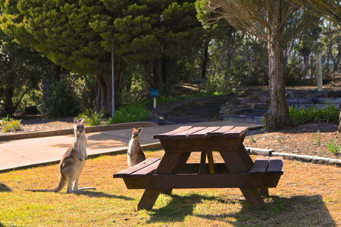 Leura Lodge At Mt Victoria - Sunshine Coast Tourism 2