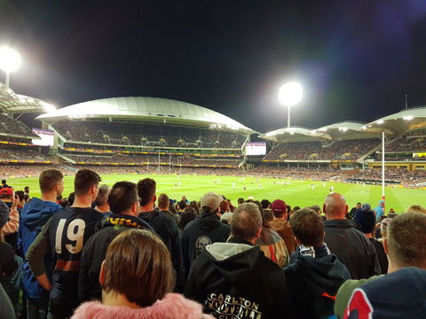 Levi Park Caravan Park - Holiday Sunshine Coast 3