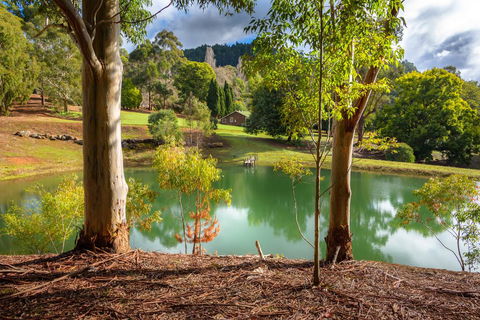 Lewana Cottages - Holiday Sunshine Coast 1