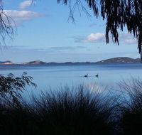 Lilacs Waterfront Villas  Cottages - Sunshine Coast Tourism