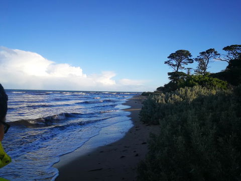 Lily Family - Sunshine Coast Tourism 2