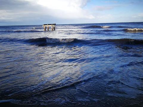 Lily Family - Sunshine Coast Tourism 3