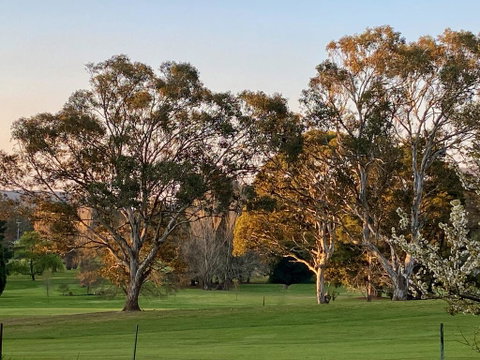 Links House - Sunshine Coast Tourism 2