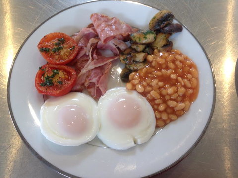 Lush Pastures - Sunshine Coast Tourism 1