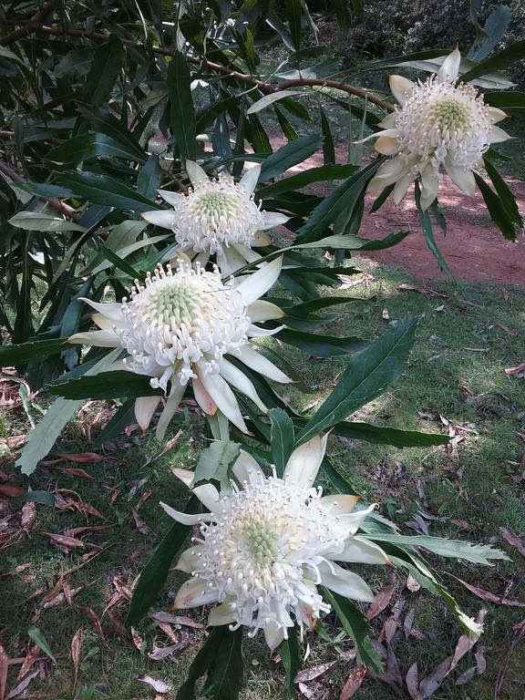 Hallston VIC Sunshine Coast Tourism