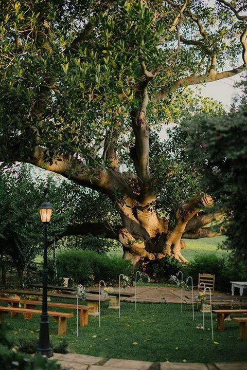 Maddies Of Bolwarra - Sunshine Coast Tourism 3