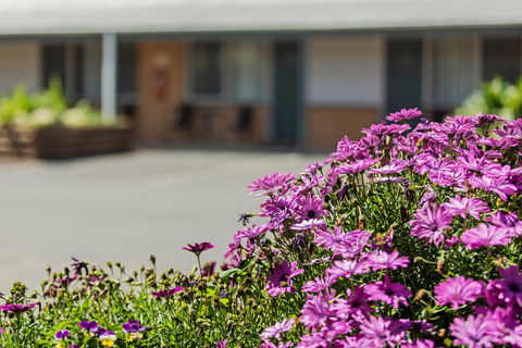 Maffra Motor Inn - Sunshine Coast Tourism 2