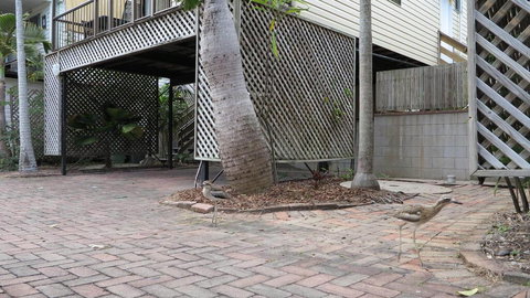 Magnetic Haven Unit 6 - Holiday Sunshine Coast 2