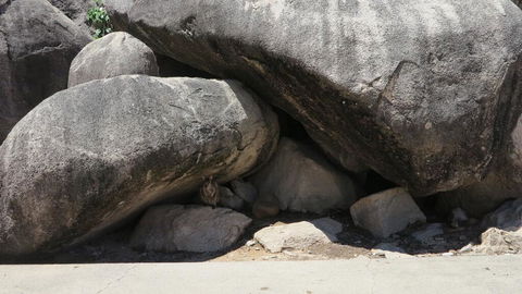 Magnetic North Unit 3 - Sunshine Coast Tourism 3