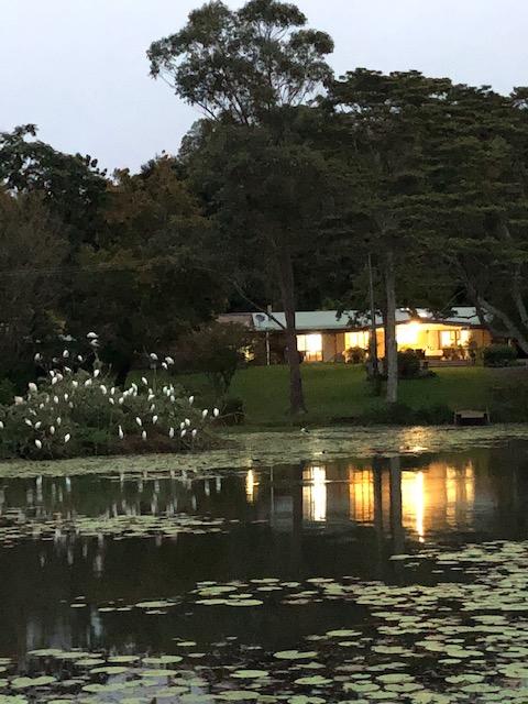 Maleny Lake Cottages-Guesthouse - Sunshine Coast Tourism 3