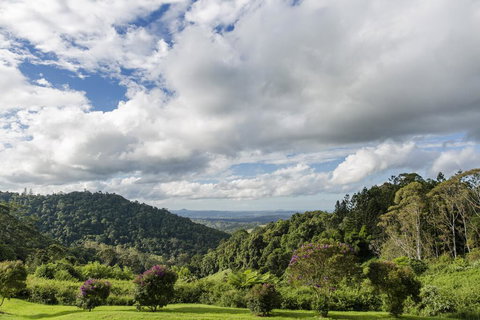 Maleny Manor - Sunshine Coast Tourism 1