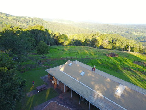 Maleny Orchard - Sunshine Coast Tourism 3