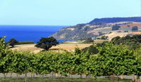 Mallavale Farm Boat Harbour