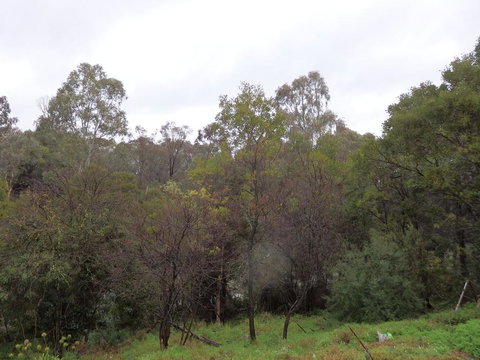 Mandall Avenue - Holiday Sunshine Coast 2