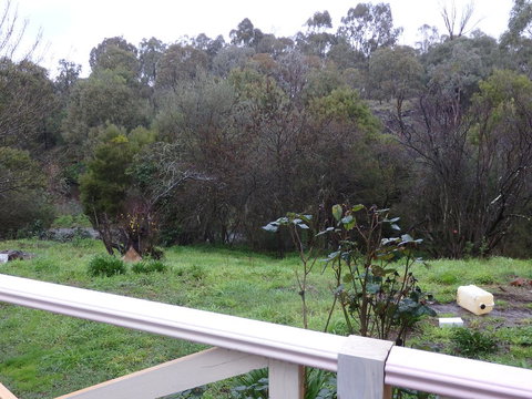 Mandall Avenue - Holiday Sunshine Coast 1