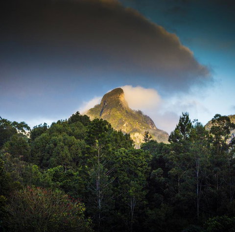 Mavis's Cabins @ Mt Warning - Sunshine Coast Tourism 1