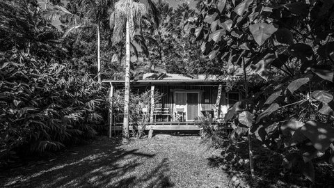 Mavis's Cabins @ Mt Warning - Sunshine Coast Tourism 2