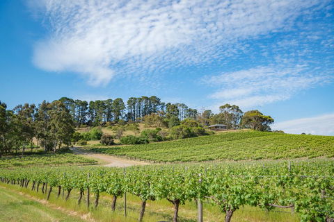 McLaren Vale Getaways - Sunshine Coast Tourism 0