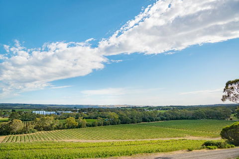 McLaren Vale Getaways - Sunshine Coast Tourism 1
