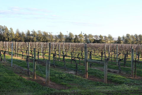 Milawa Vineyard Views - Guesthouse 2 - Sunshine Coast Tourism 0