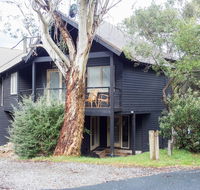 Milkwood - Sunshine Coast Tourism