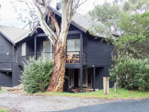 Milkwood - Sunshine Coast Tourism 0