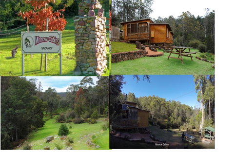 Minnow Cabins Lower Beulah - Holiday Sunshine Coast 1
