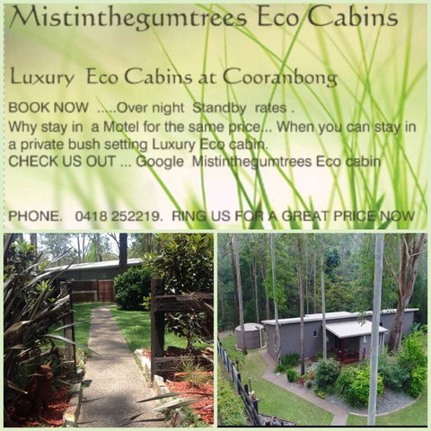 Mistinthegumtrees Eco Luxury Cabins - Sunshine Coast Tourism 3