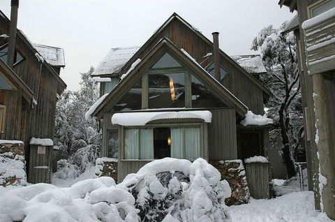 Mitta Mitta - Sunshine Coast Tourism 0