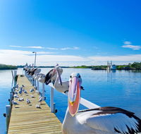 Moby Dick Waterfront Resort Motel - Holiday Sunshine Coast