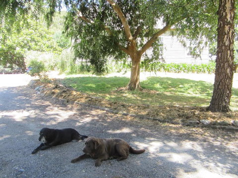 Molenda Lodge Farm Let - Holiday Sunshine Coast 3