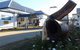 Monto Colonial Motor Inn - thumb 1