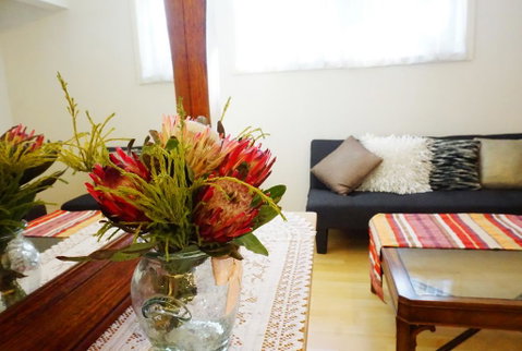 Moon House - Sunshine Coast Tourism 0