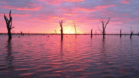 Mulwala Lakeside Apartment - Sunshine Coast Tourism 2