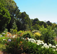 Murrindindi - Holiday Sunshine Coast