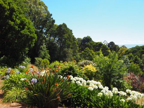 Murrindindi - Sunshine Coast Tourism 0