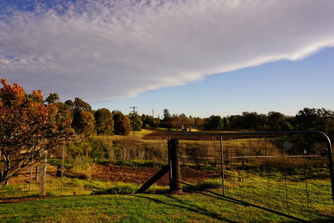 Muswellbrook Northside B&B - Sunshine Coast Tourism 3
