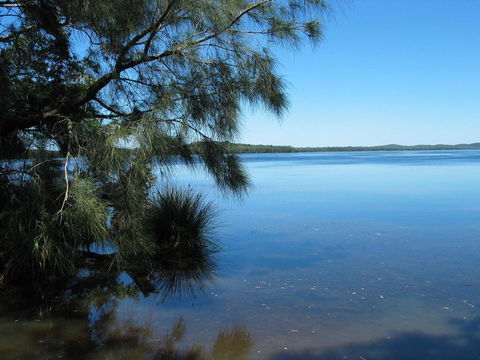 Myall River Magic - Sunshine Coast Tourism 1