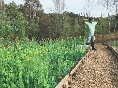 Mylor Farm, Adelaide Hills - Sunshine Coast Tourism 1