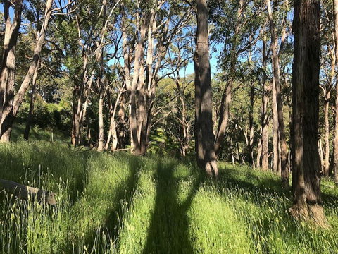 Mylor Farm, Adelaide Hills - Sunshine Coast Tourism 0