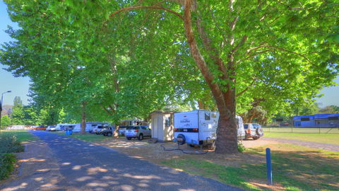 Myrtleford Holiday Park - Holiday Sunshine Coast 1